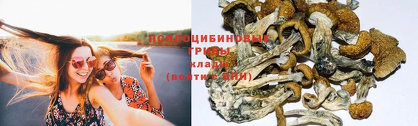 гашик Бугульма