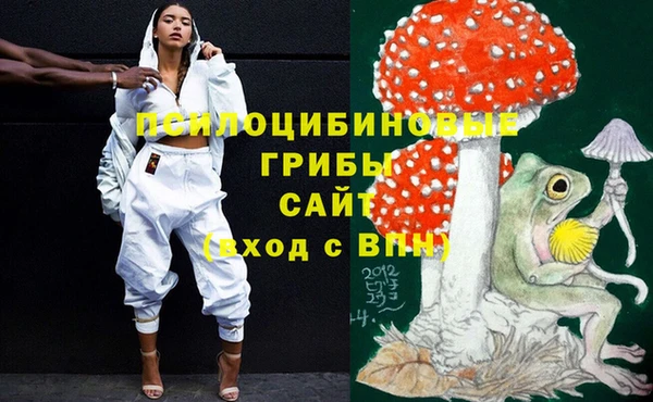 ECSTASY Чекалин