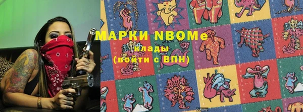 прущие грибы Бронницы