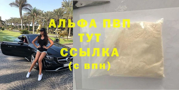 прущие грибы Бронницы