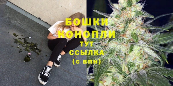 a pvp Богданович
