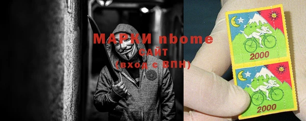 a pvp Бородино